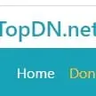 topDN.net